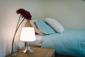 Salus Bedroom